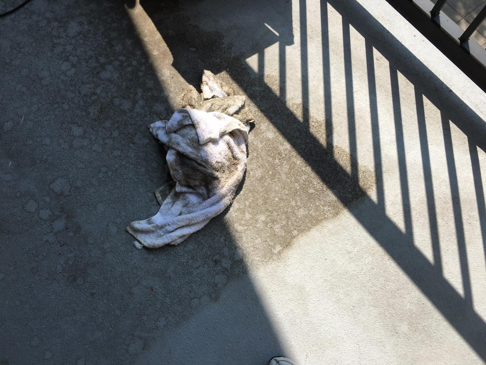 Vapamore MR-75 Amico Handheld Steam Cleaner, Professional-Grade, Italian-Designed Chemical-Free Portable Steam Cleaner for Pet Accidents, Floors, Tile, Grout, Auto, Jewelry & More customer photo 1