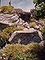 Woodland Scenics Ready Rocks 13/Pkg-Outcroppings customer photo 2