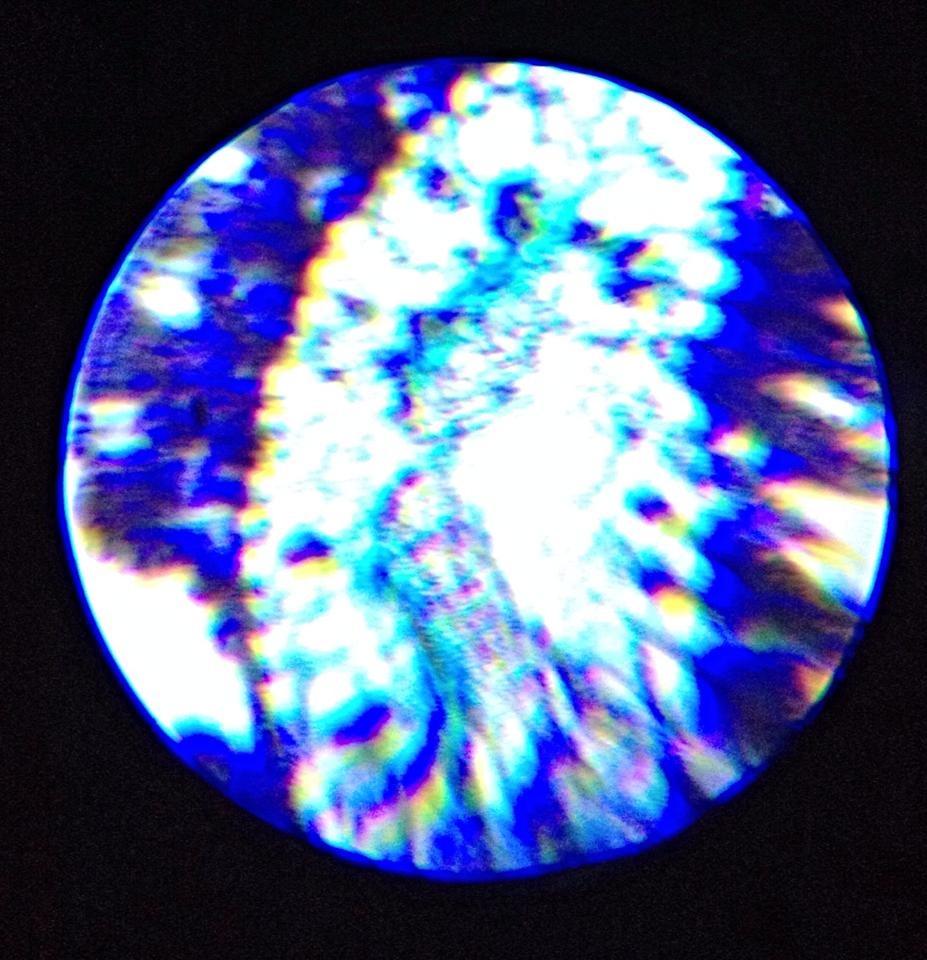 AmScope 120X-1200X 52-pcs Beginner Microscope STEM Kit with Metal Body Microscope, Plastic Slides, LED Light and Carrying Box (M30-ABS-KT2-W),White customer photo 1