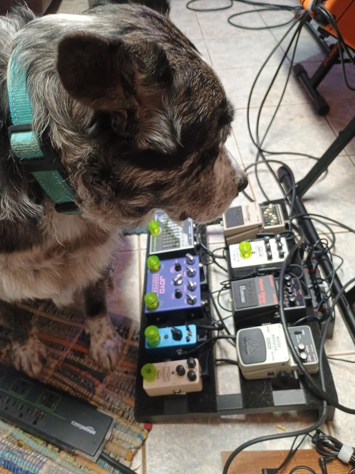 Donner Overdrive Guitar Pedal, Blues Drive Vintage Overdrive Effect Warm/Hot Modes for Pedal Boards Electric Guitar, True Bypass customer photo 1