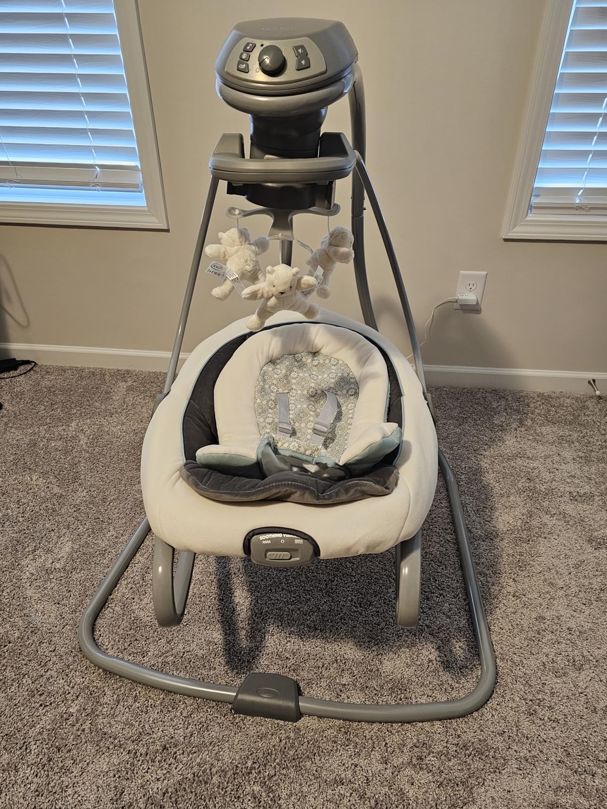 Graco DuetSoothe Swing and Rocker with Removable Swing Seat and 6 Swinging Speeds for Toddler Swing Seat and Swing Chair customer photo 2