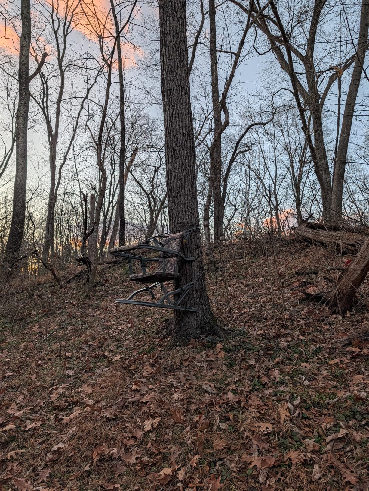 Summit Treestands Viper SD Climbing Treestand, Choose Camo customer photo 1