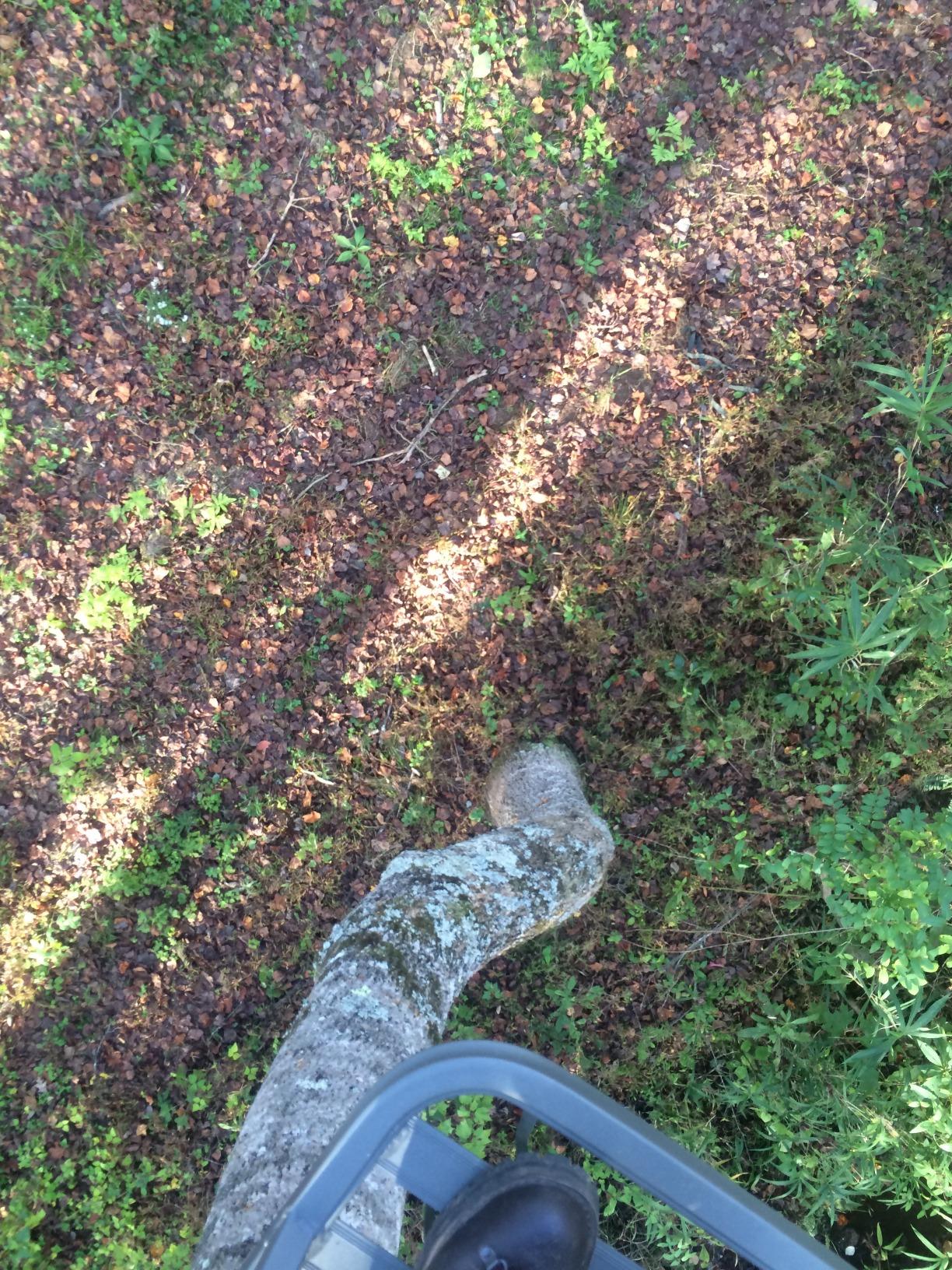 Summit Treestands OpenShot SD Climbing Treestand, Mossy Oak customer photo 2