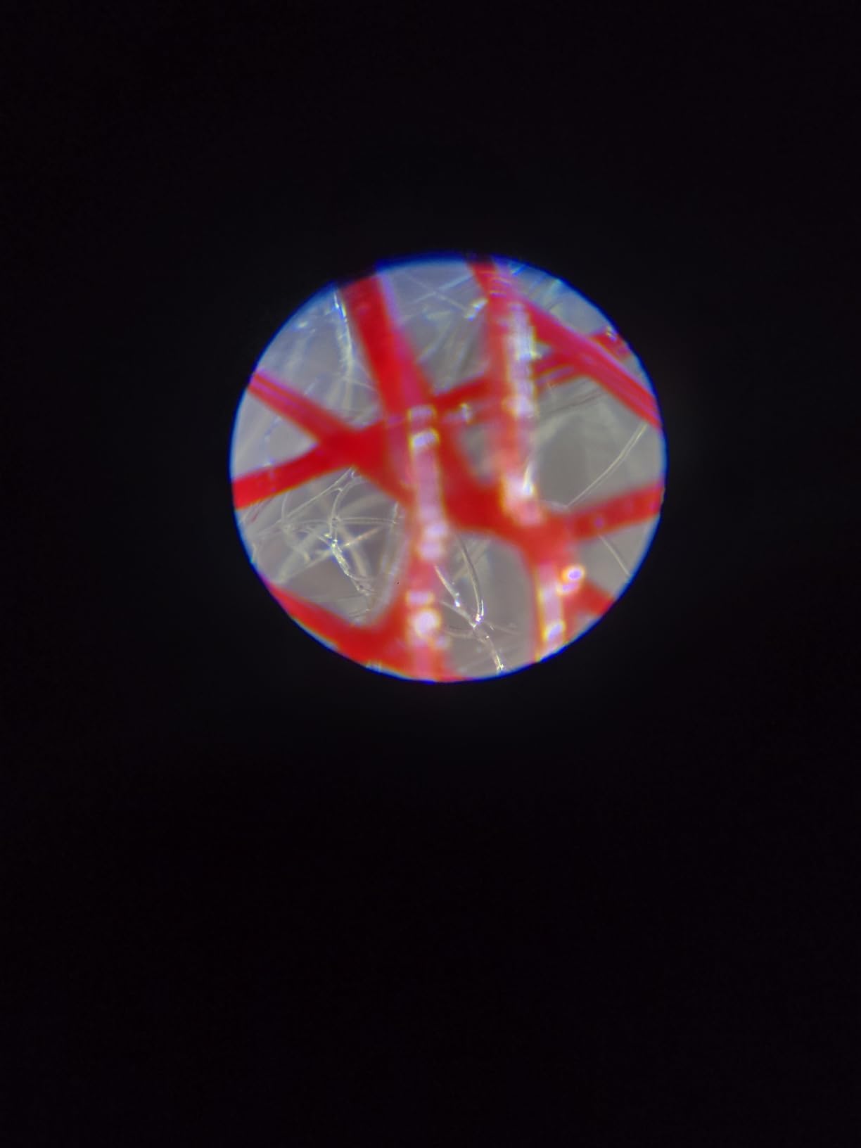 Carson MicroBrite Plus 60x-120x Accurate LED Lighted Pocket Microscope, Portable Educational STEM Toy, Mini Handheld Microscope for Student Science Lab (MM-300) , Grey customer photo 1