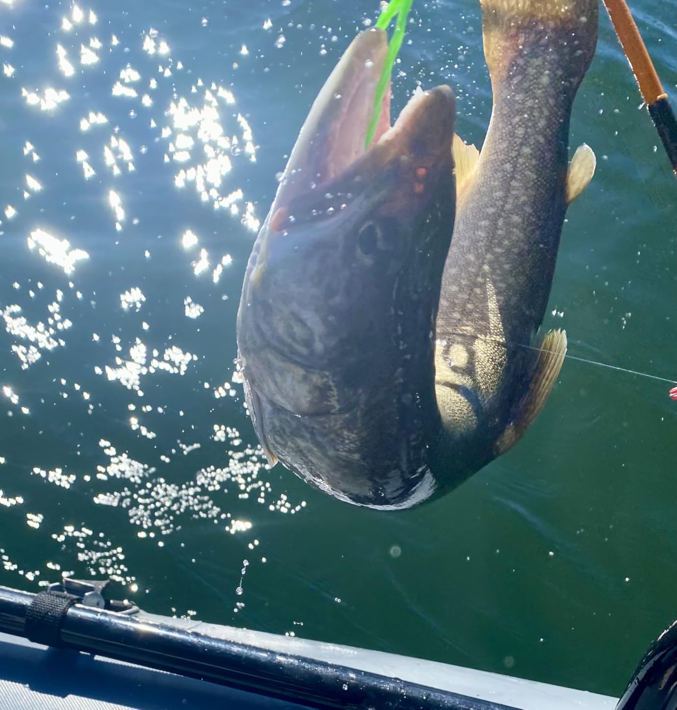 Reelsonar iBobber portable wireless bluetooth fish finder depth finder with depth range of 135 feet 10+ hrs battery life with IOS & Android App Wireless and Watch App customer photo 2