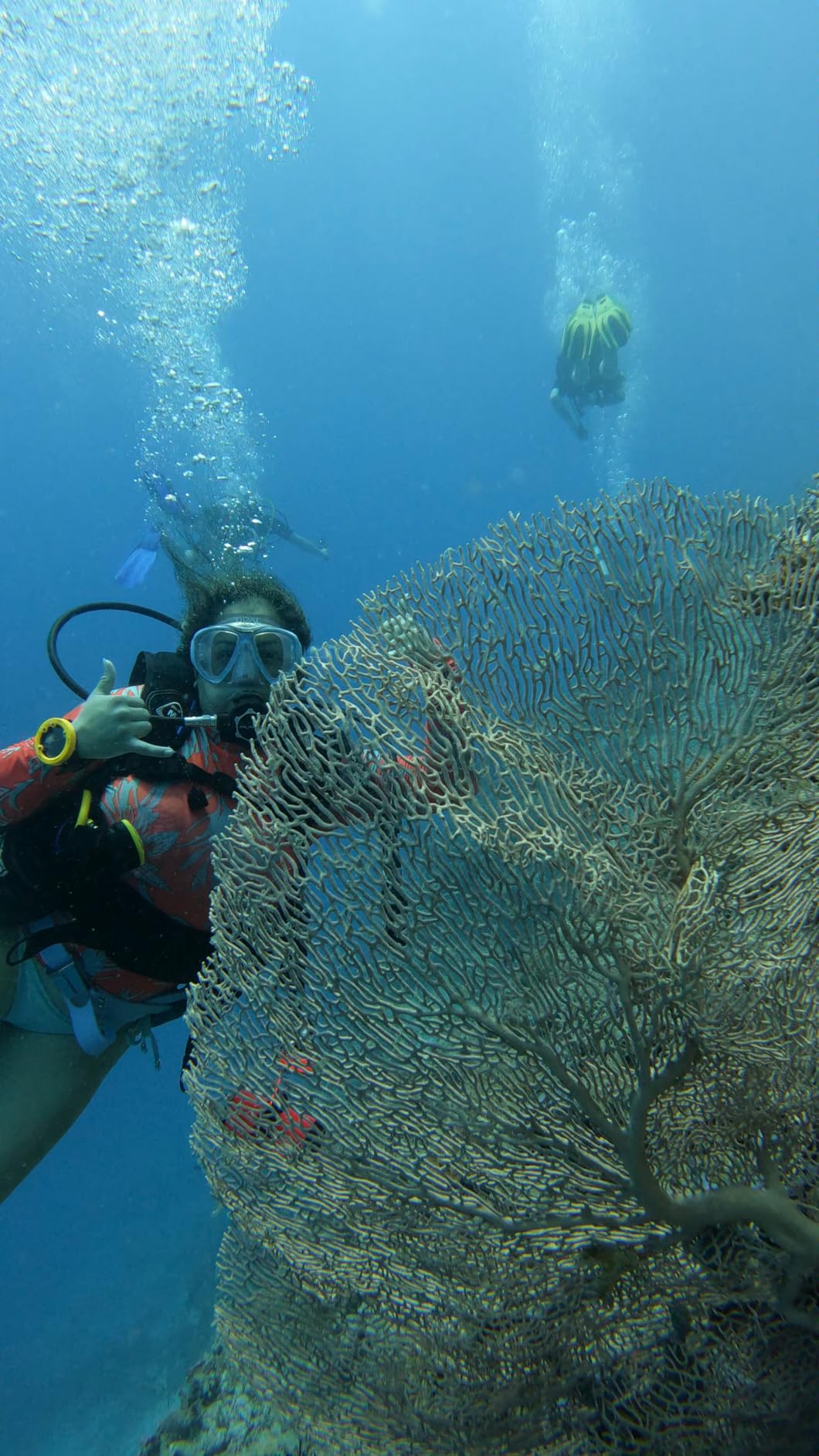 Palantic AS101 Scuba Diving Regulator customer photo 1