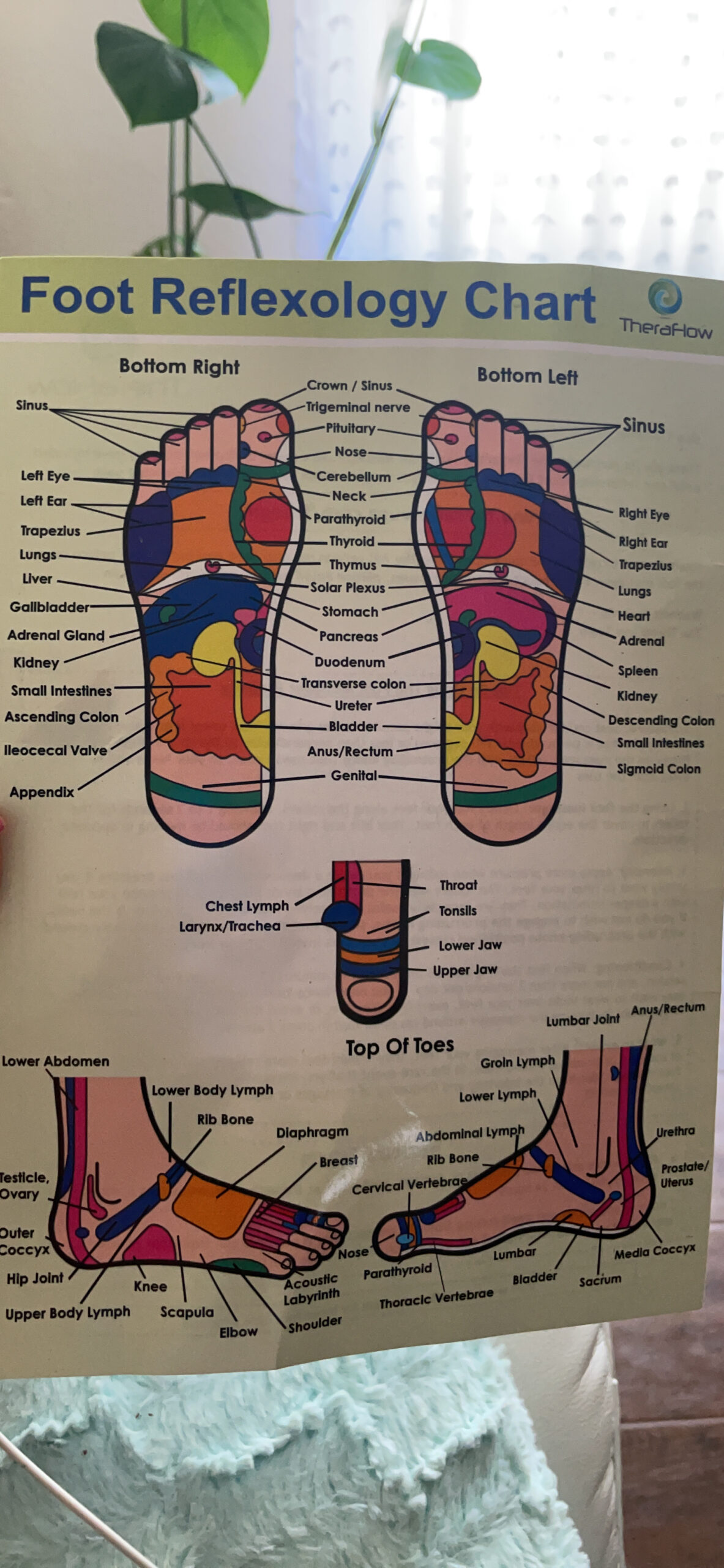 TheraFlow Foot Massager for Neuropathy & Plantar Fasciitis Relief - Mom Gifts for Women & Gifts for Dad, Wooden Foot Roller Massager, Neuropathy Pain Relief for Feet (Includes Reflexology Chart) customer photo 1