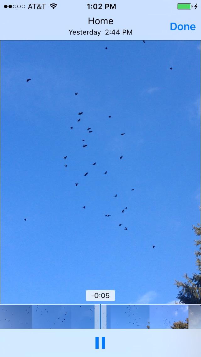 iHunt Ultimate Electronic Game Call and Bluetooth Speaker Combo, EDIHGC, Free App with 750 Animal Calls, 59 Species, Rugged and Portable customer photo 1