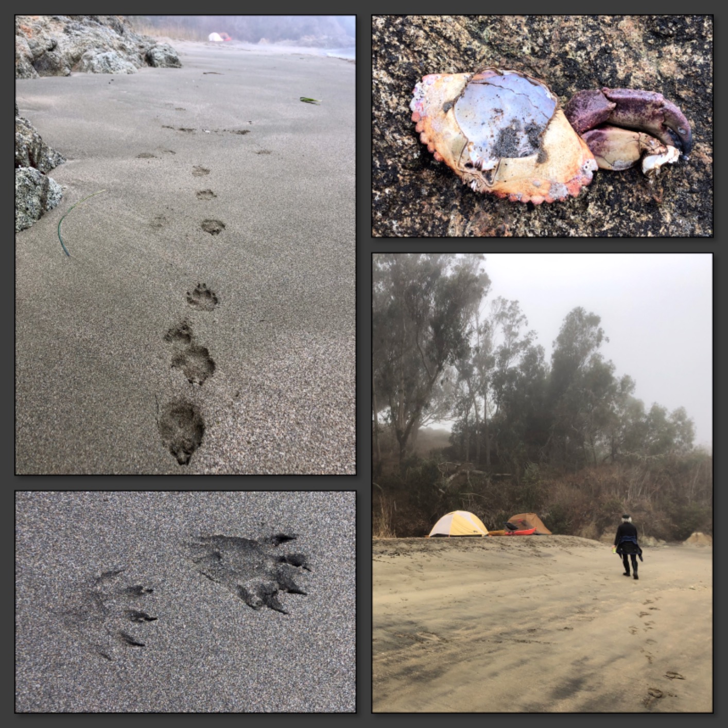 LOKSAK - OPSAK Odor Proof Dry Bags for Backpacking, Hiking and Storage- Resealable and Reusable Storage Bags (2 Pack - 12 Inch x 20 Inch) customer photo 2