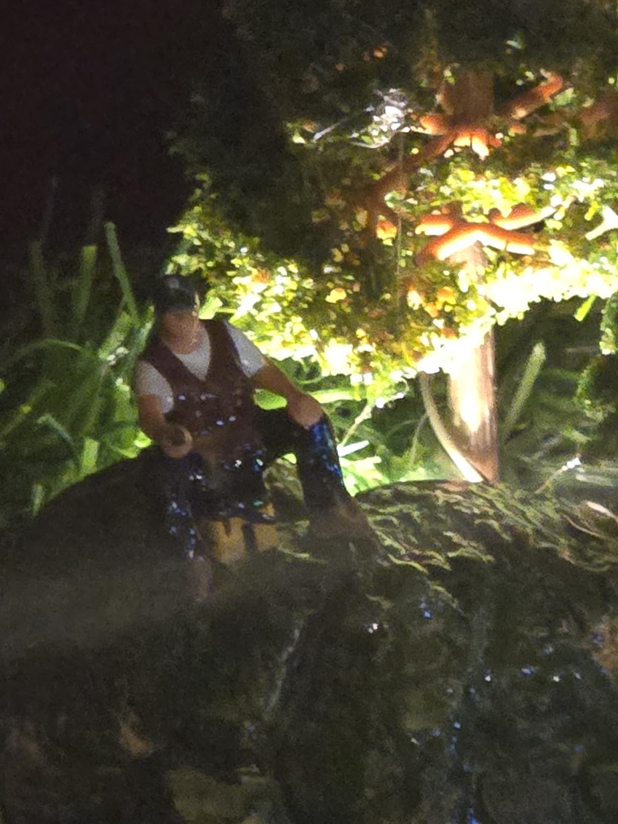 Woodland Scenics Just Plug LED Stick on Lights Cool White for Scale Model Railroads 5741 customer photo 2