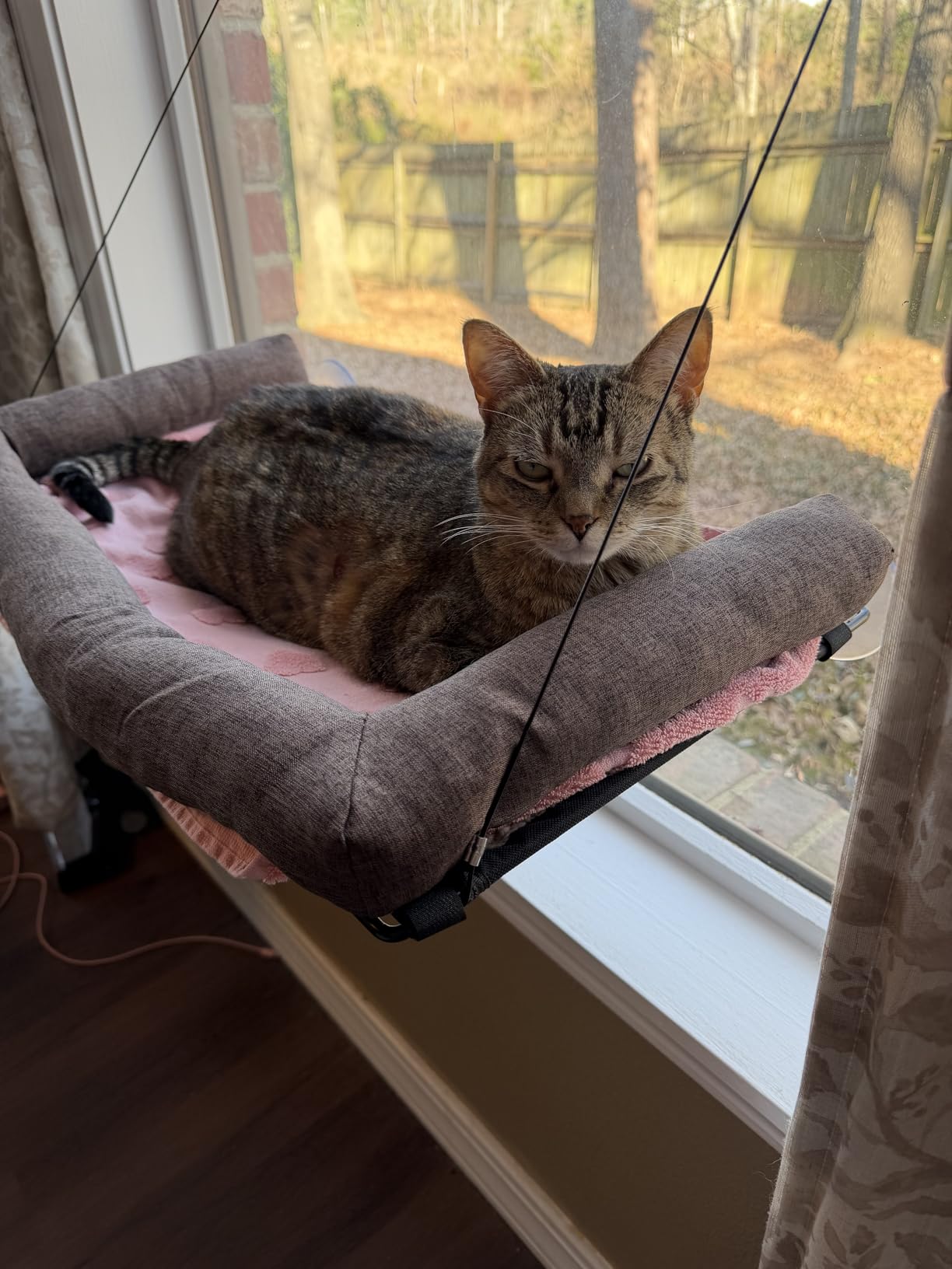 K&H Pet Products EZ Mount Cat Window Perch for Large Cats, Sturdy Kitty Sill Window Hammock Bed, Steel Frame, Sturdy Suction Cups, Washable Shelf Cover, Foldable - Fits 27