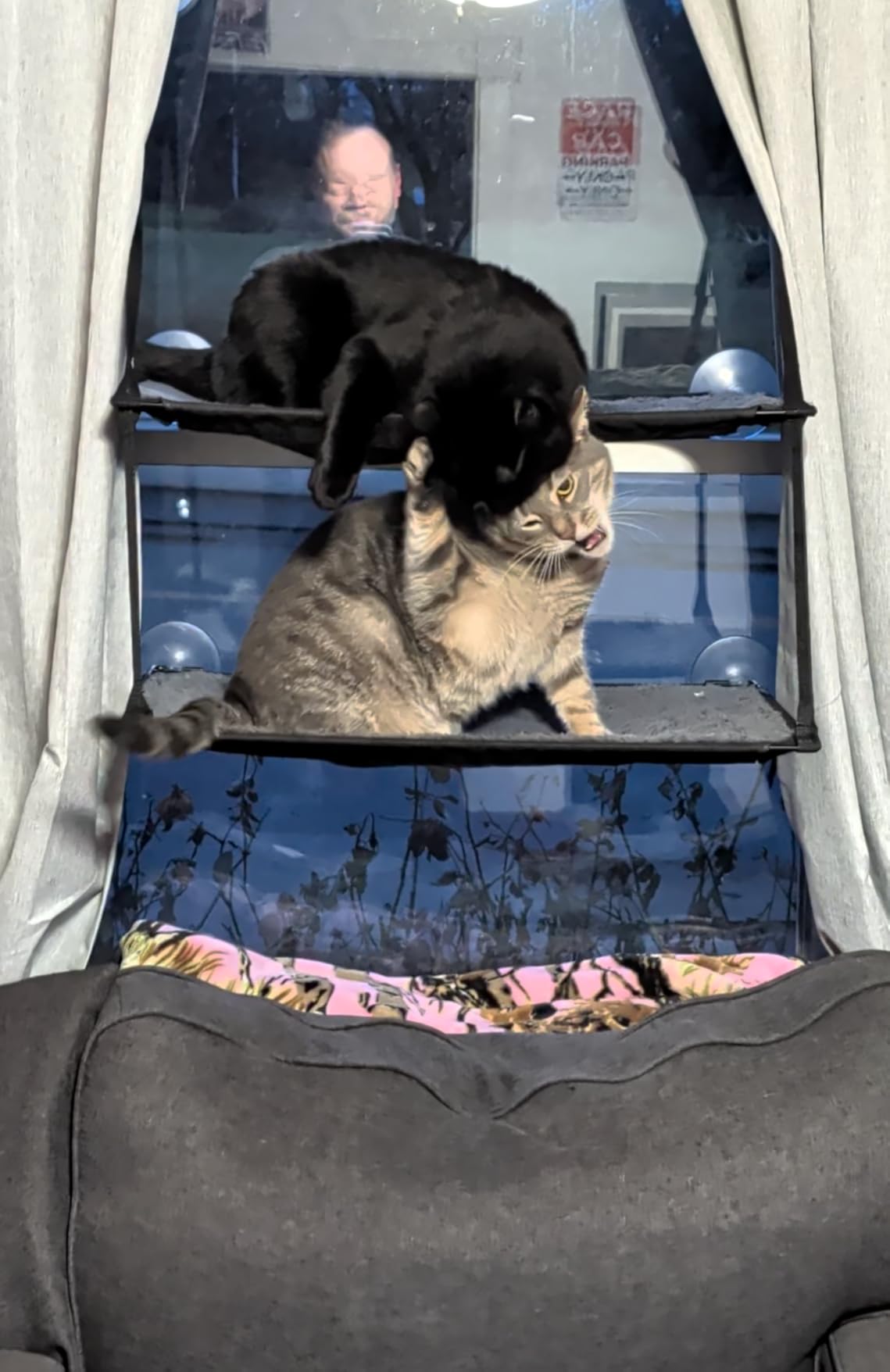 K&H Pet Products EZ Mount Double Stack Cat Window Perch for Large Cats, Sturdy Window Hammock Bed, Steel Frame, Sturdy Suction Cups, 2 Washable Shelf Covers, Foldable - Fits 27