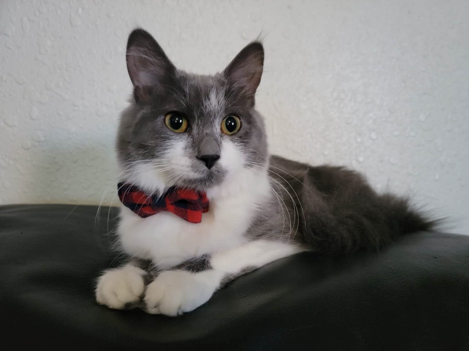 K&H Pet Products EZ Mount Double Stack Cat Window Perch for Large Cats, Sturdy Window Hammock Bed, Steel Frame, Sturdy Suction Cups, 2 Washable Shelf Covers, Foldable - Fits 27