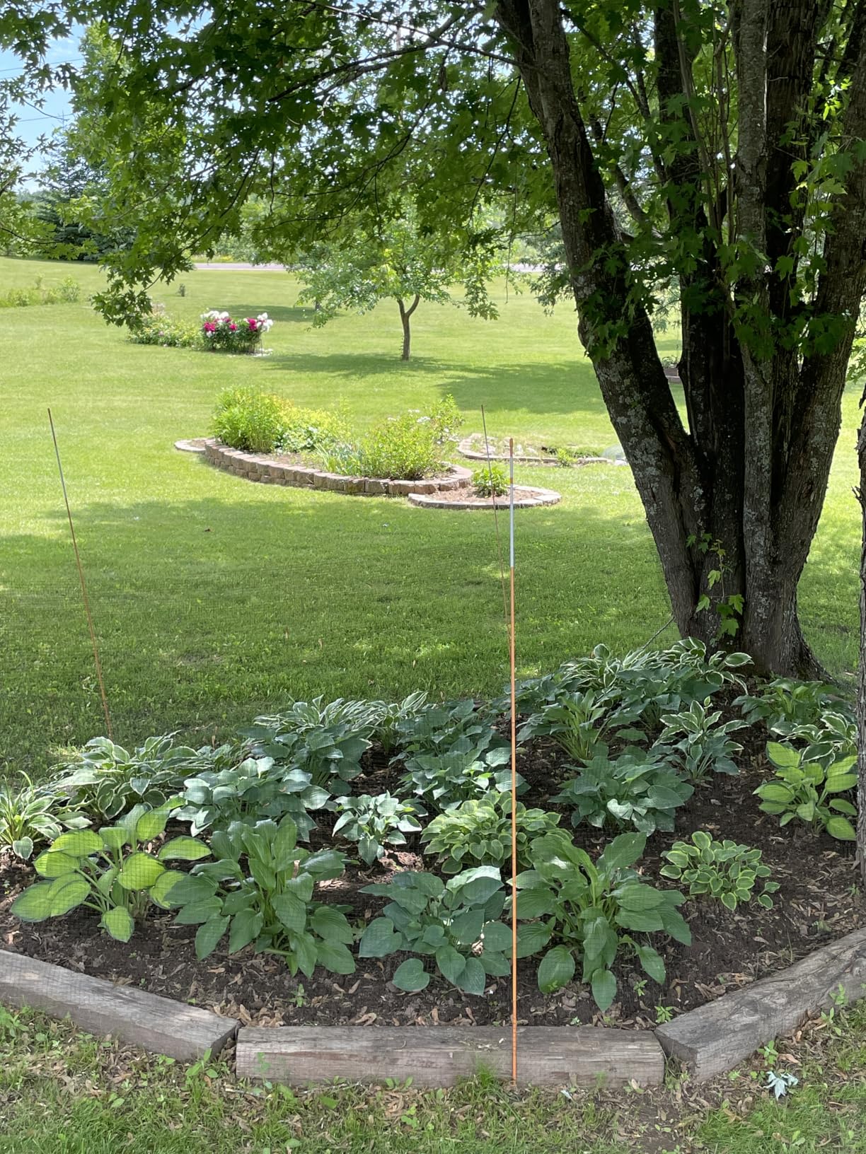 Liquid Fence Deer And Rabbit Repellent Granular 5 Pounds, Harmless To Plants And Animals customer photo 1