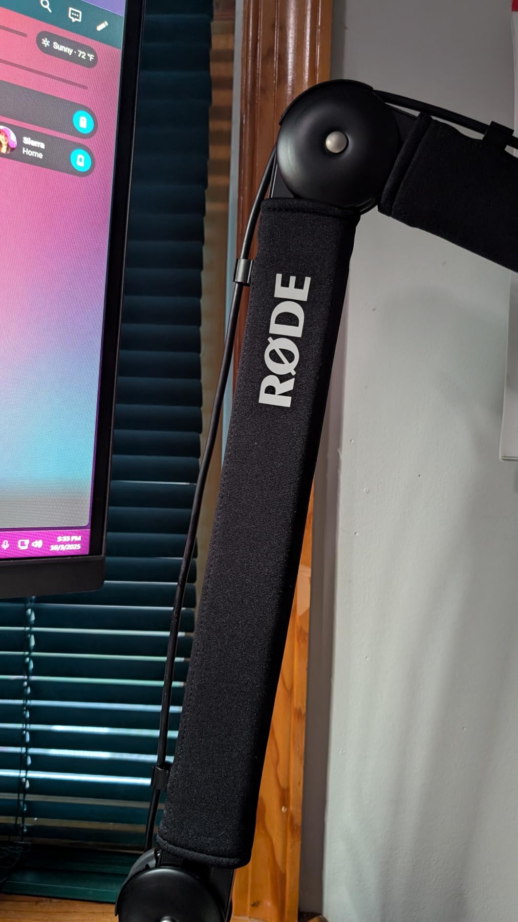 Audio Technica BP40 Large-Diaphragm Broadcast Microphone customer photo 1