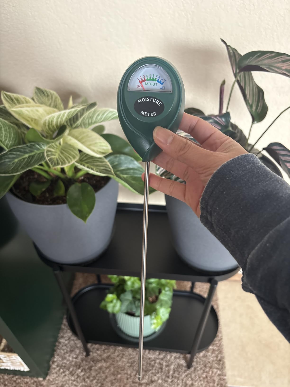XLUX Soil Moisture Meter, Plant Water Monitor, Hygrometer Sensor for Gardening, Farming, Indoor and Outdoor Plants, No Batteries Required customer photo 1
