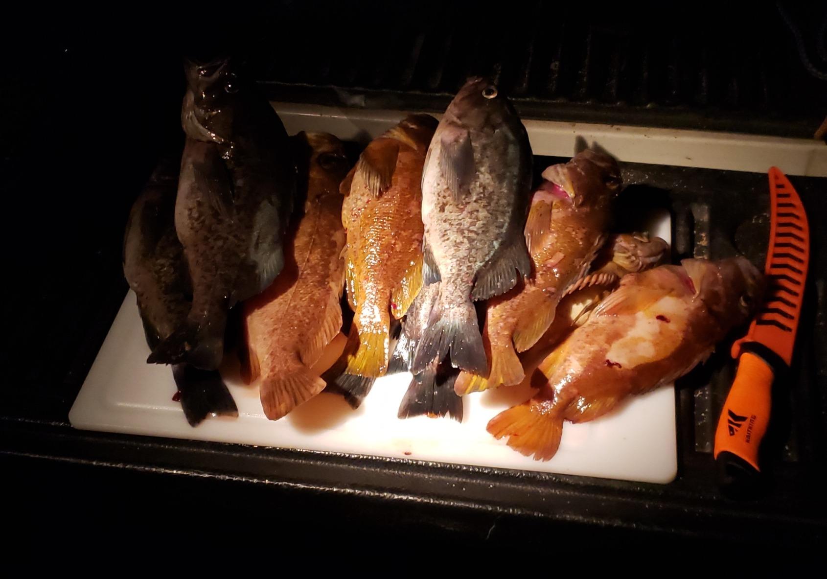 HawkEye Fishtrax 1C Fish Finder with HD Color Virtuview Display, Black/Red, 2