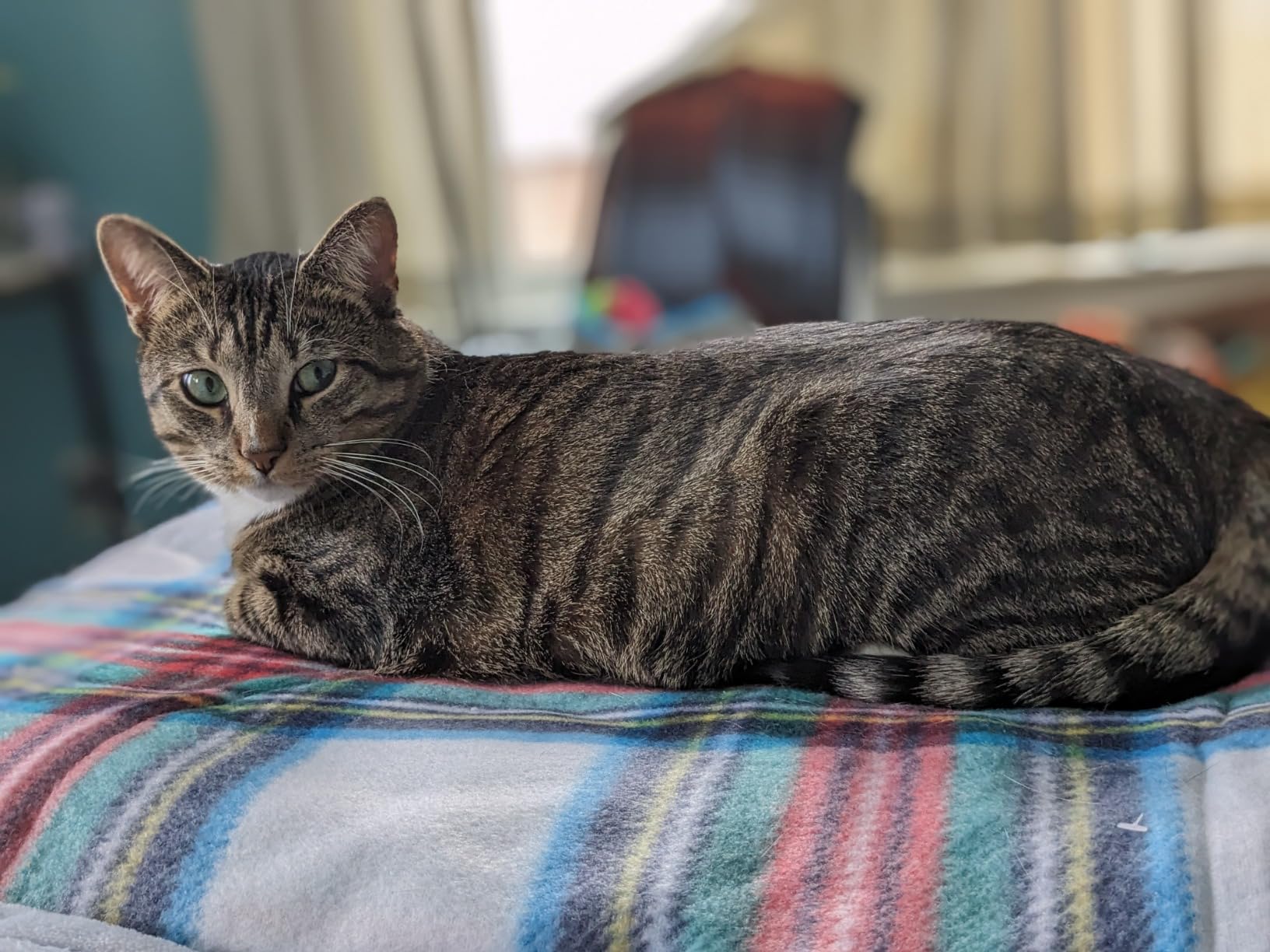 MediCrystal Infrared Heat Amethyst Mini Mat - 32