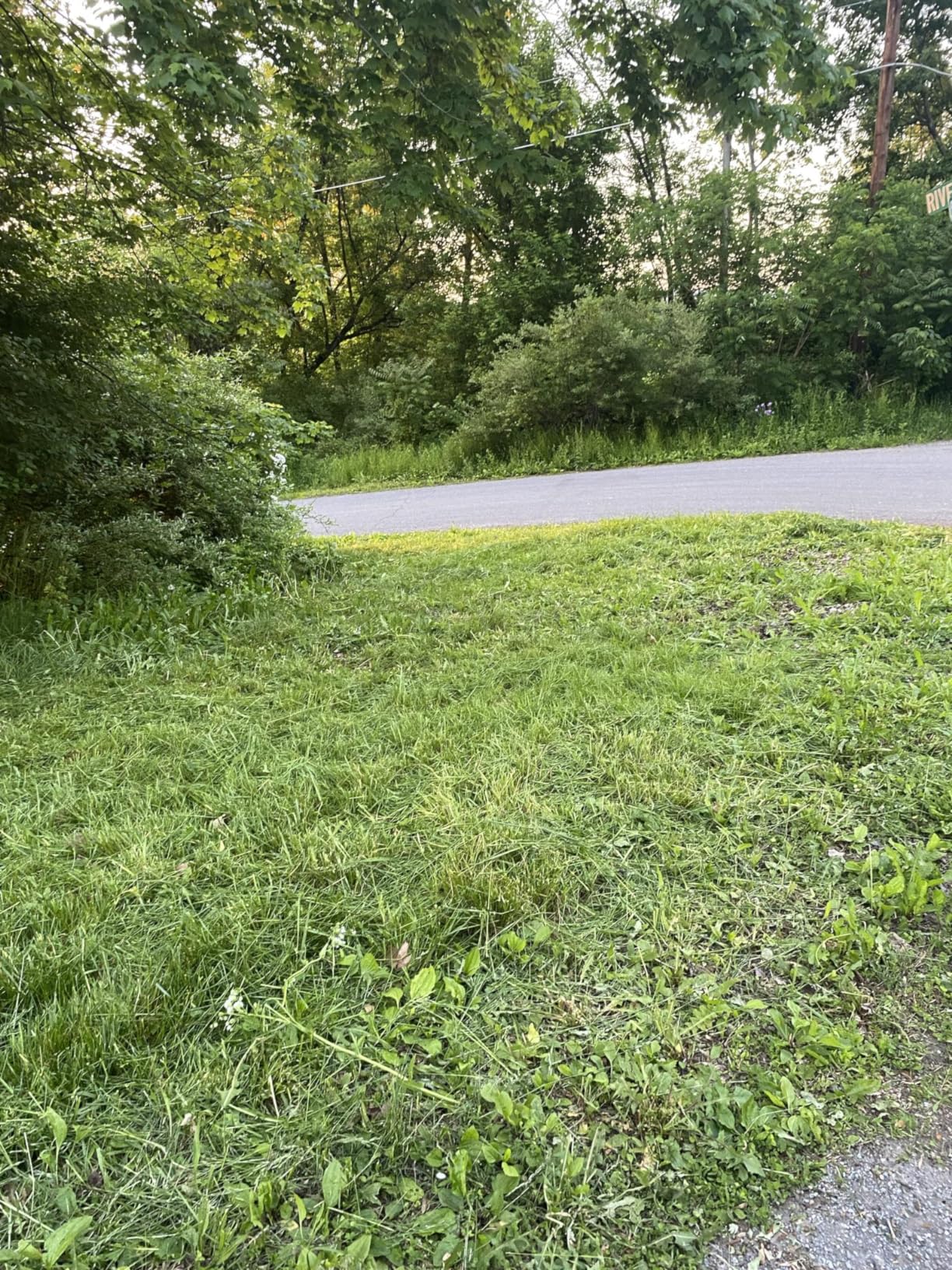 WORX Cordless String Trimmer & Lawn Edger, 12'' Electric Weed Wacker with 5.5 LBS, 20V Weed Eater with 90° Pivoting Head, 2 Batteries & Charger Included, WG163 customer photo 2