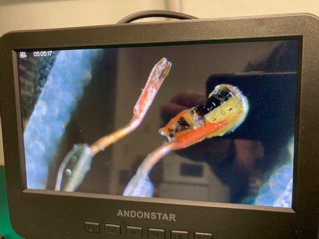 Testo 405i Anemometer Handheld for Air Velocity, In-Duct Airflow and Temperature - CFM Meter with Extendable up to 15