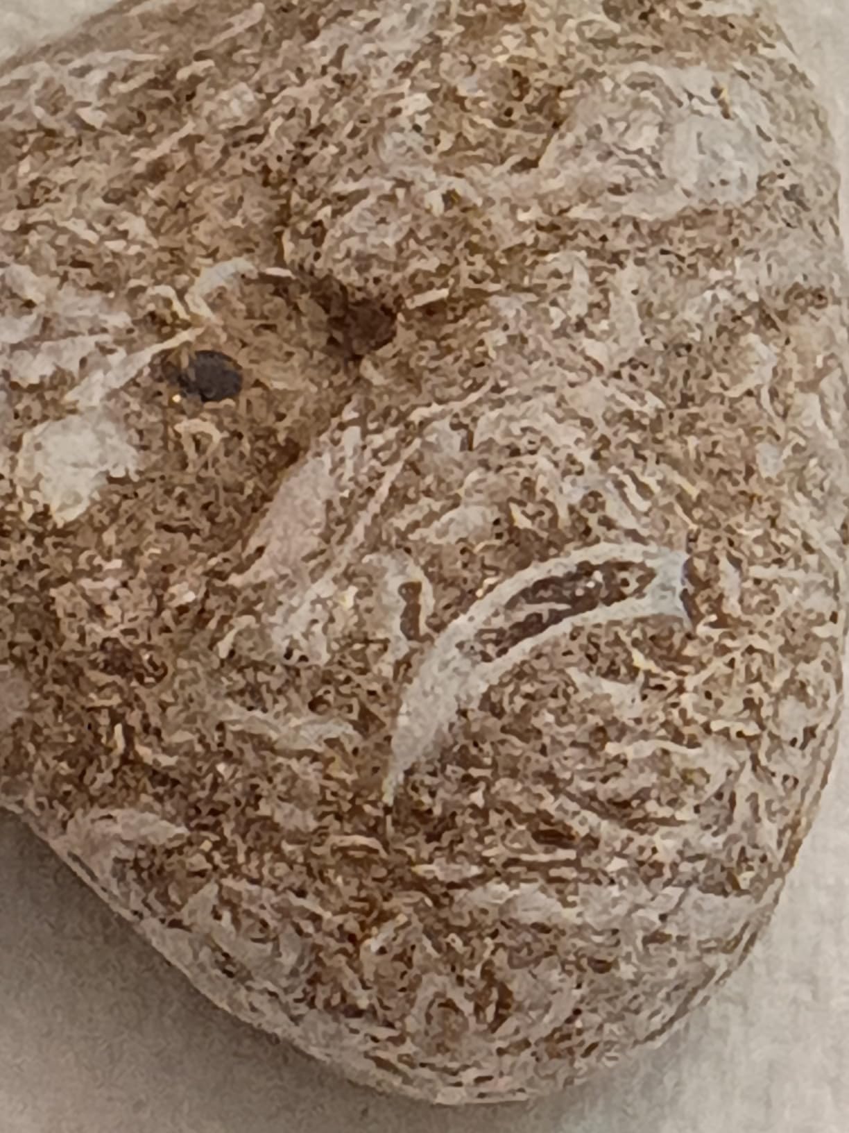 Pro Lens Kit for iPhone and Android, Macro and Wide Angle Lens with LED Light and Travel Case Black customer photo 2