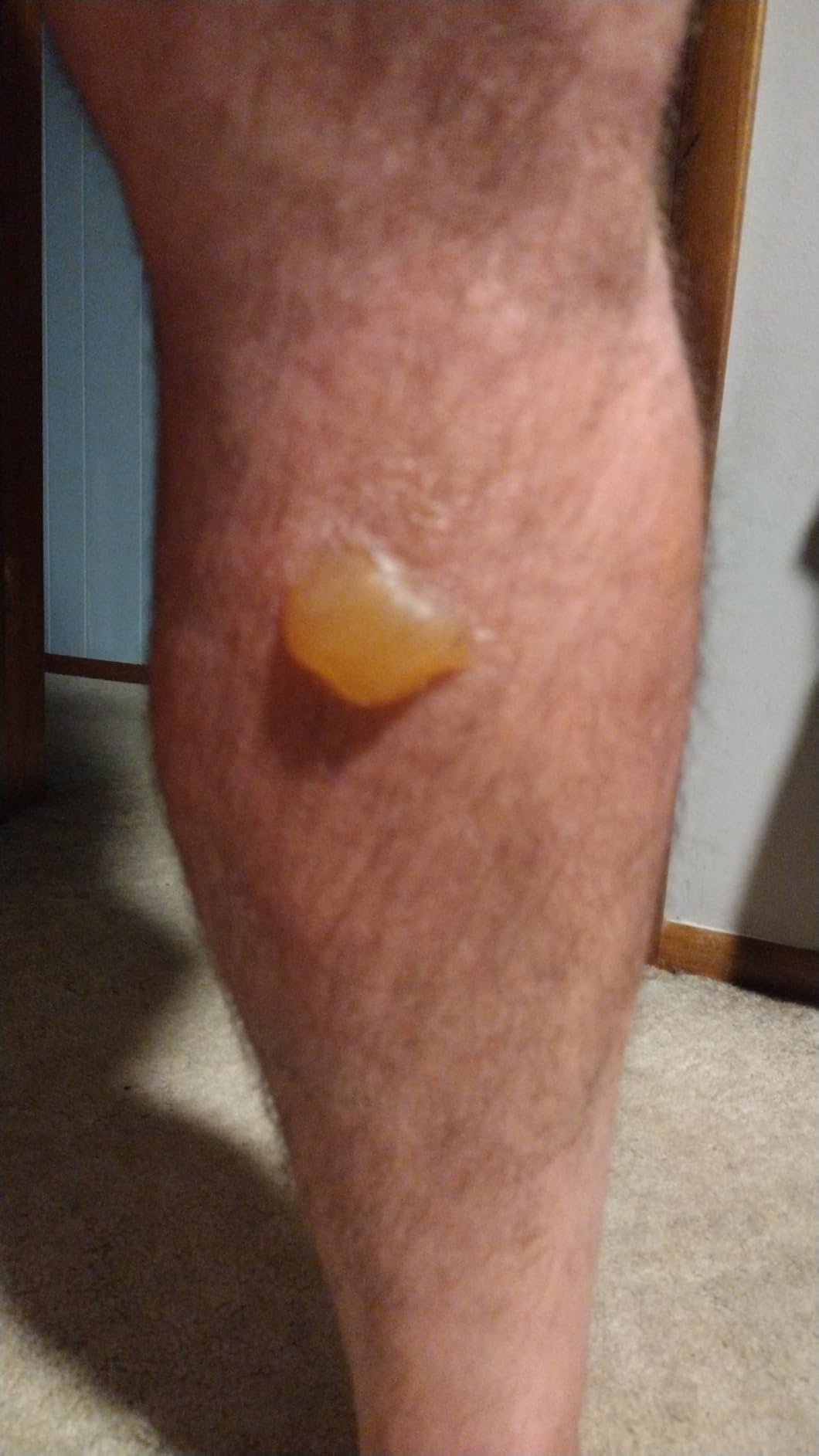 Venum Tiger Shin Guards customer photo 2