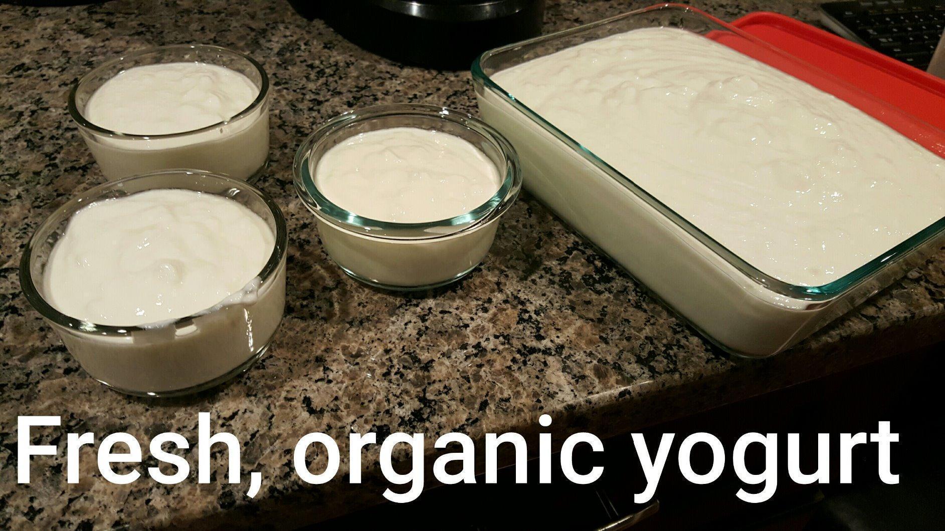 Instant Pot Duo 7-in-1 Electric Pressure Cooker, Slow Cooker, Rice Cooker, Steamer, Sauté, Yogurt Maker, Warmer & Sterilizer, Includes App with Over 800 Recipes, Stainless Steel, 8 Quart customer photo 1