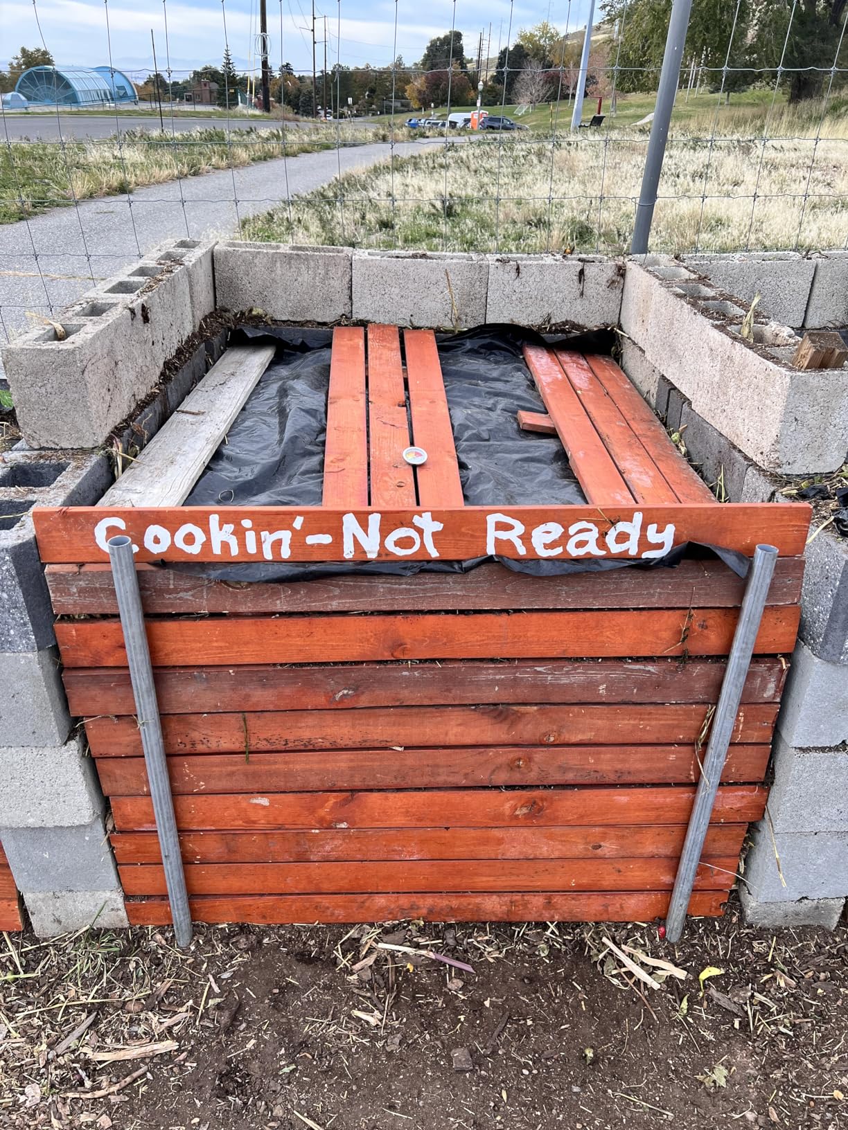 Compost Soil Thermometer by Greenco, Stainless Steel, Celsius and Fahrenheit Temperature Dial, 20 inch Stem customer photo 1