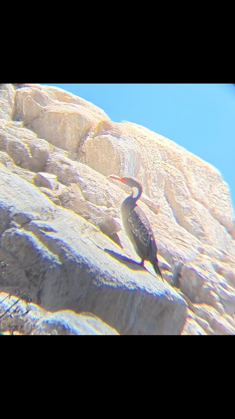 Bushnell Trophy Xtreme Spotting Scope customer photo 1