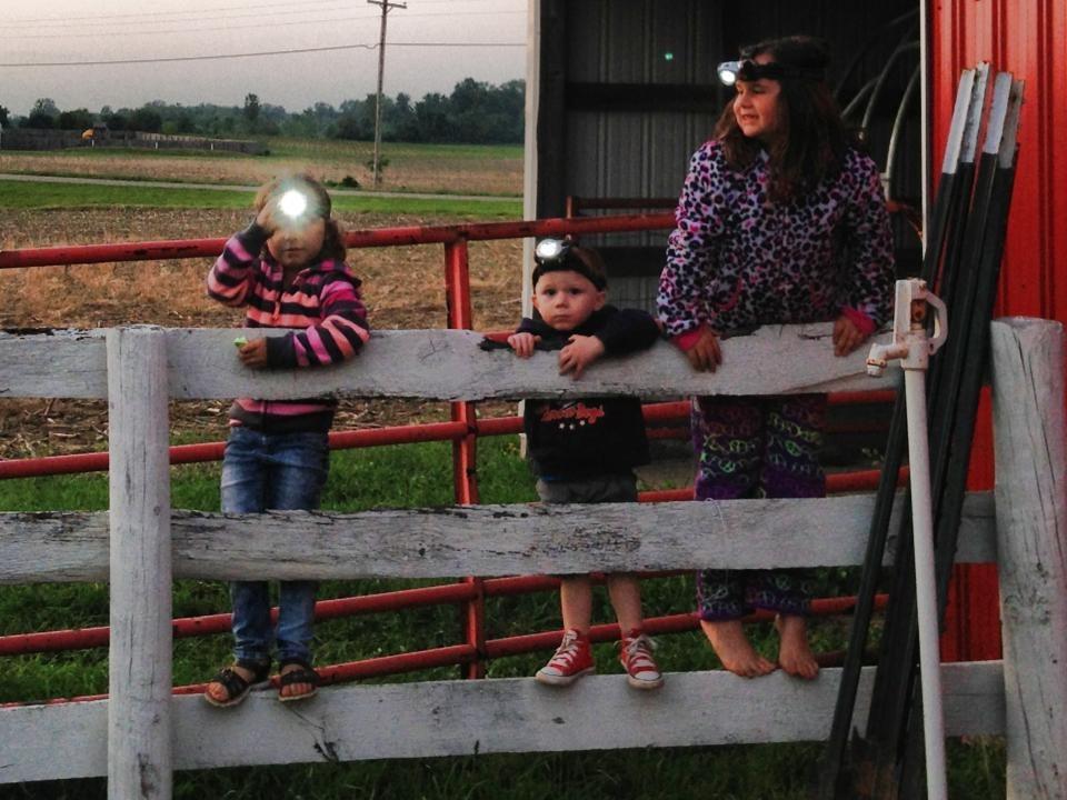 EverBrite 5-Pack LED Headlamp, 4 Lighting Modes, Pivoting Head with Adjustable Headband, Perfect for Running, Camping and Hiking, Batteries Included customer photo 2