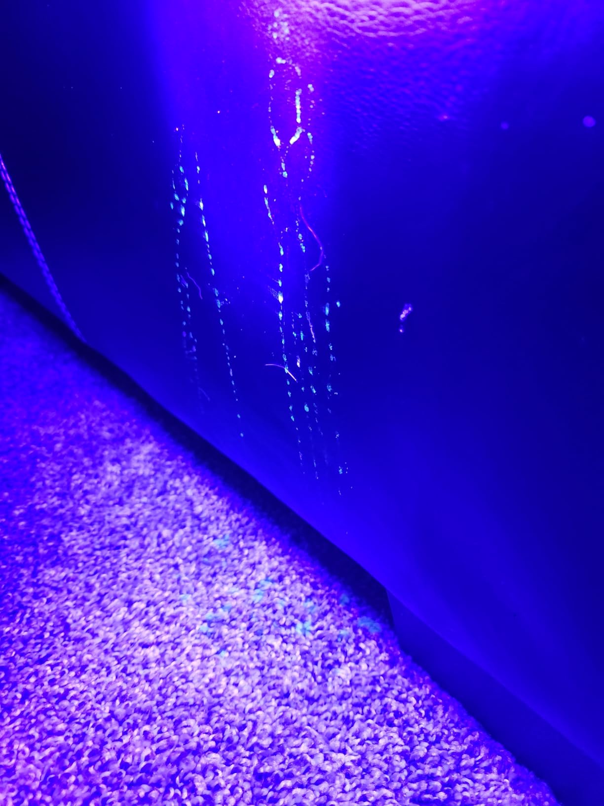 uvBeast Black Light UV Flashlight - High Power 100 LED with 30-feet Flood Effect - Professional Grade 385nm-395nm Best for Commercial/Domestic Use Works Even in Ambient Light - USA Stock - UK Design customer photo 1