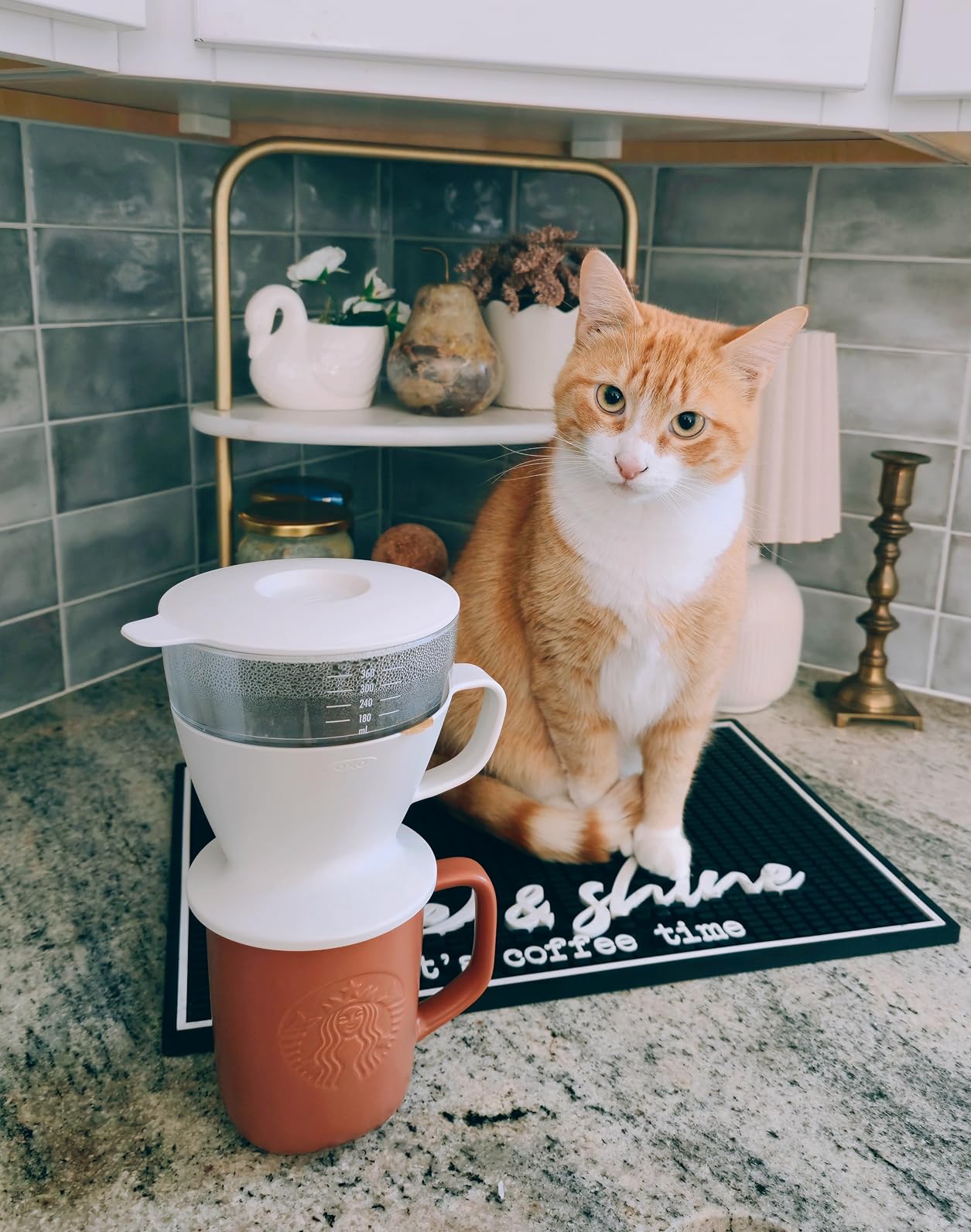 OXO Brew Single Serve Pour-Over Coffee Maker customer photo 1