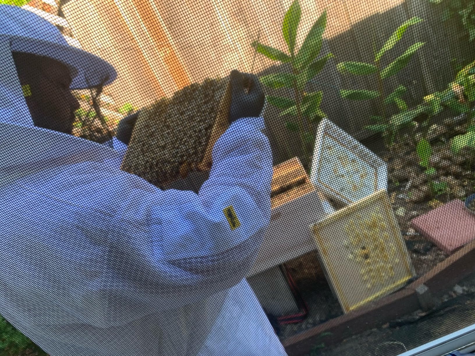 Three Layer Mesh Ventilated Beekeeping Suit, Sting proof Beekeeper Suit with Fencing & Round Brim Hat customer photo 1