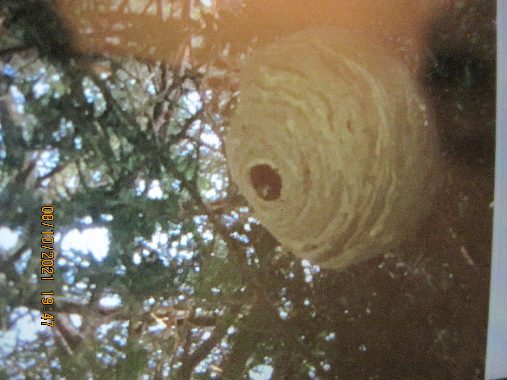 Three Layer Mesh Ventilated Beekeeping Suit, Sting proof Beekeeper Suit with Fencing & Round Brim Hat customer photo 2