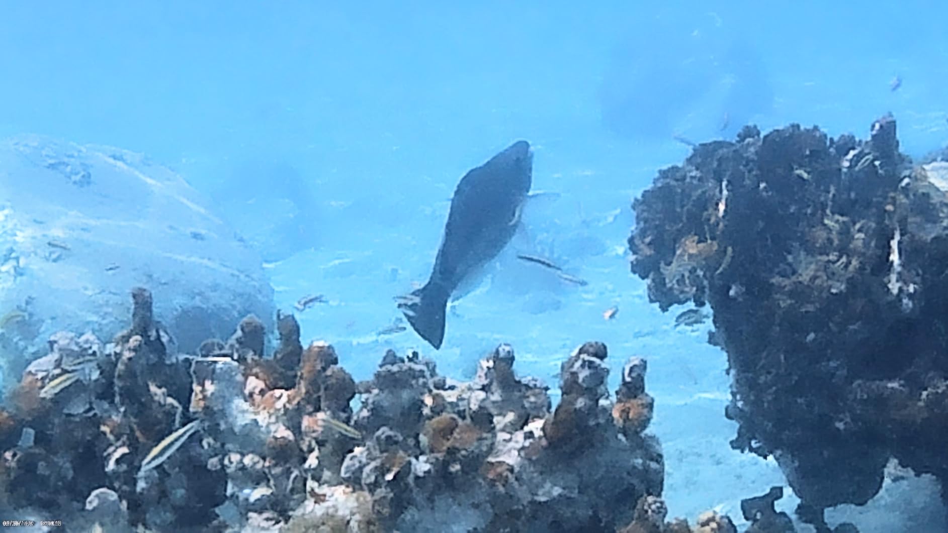 AKASO EK7000 4K30FPS 20MP WiFi Action Camera with EIS Ultra HD 131FT Waterproof Underwater Camera Remote Control 4X Zoom customer photo 2