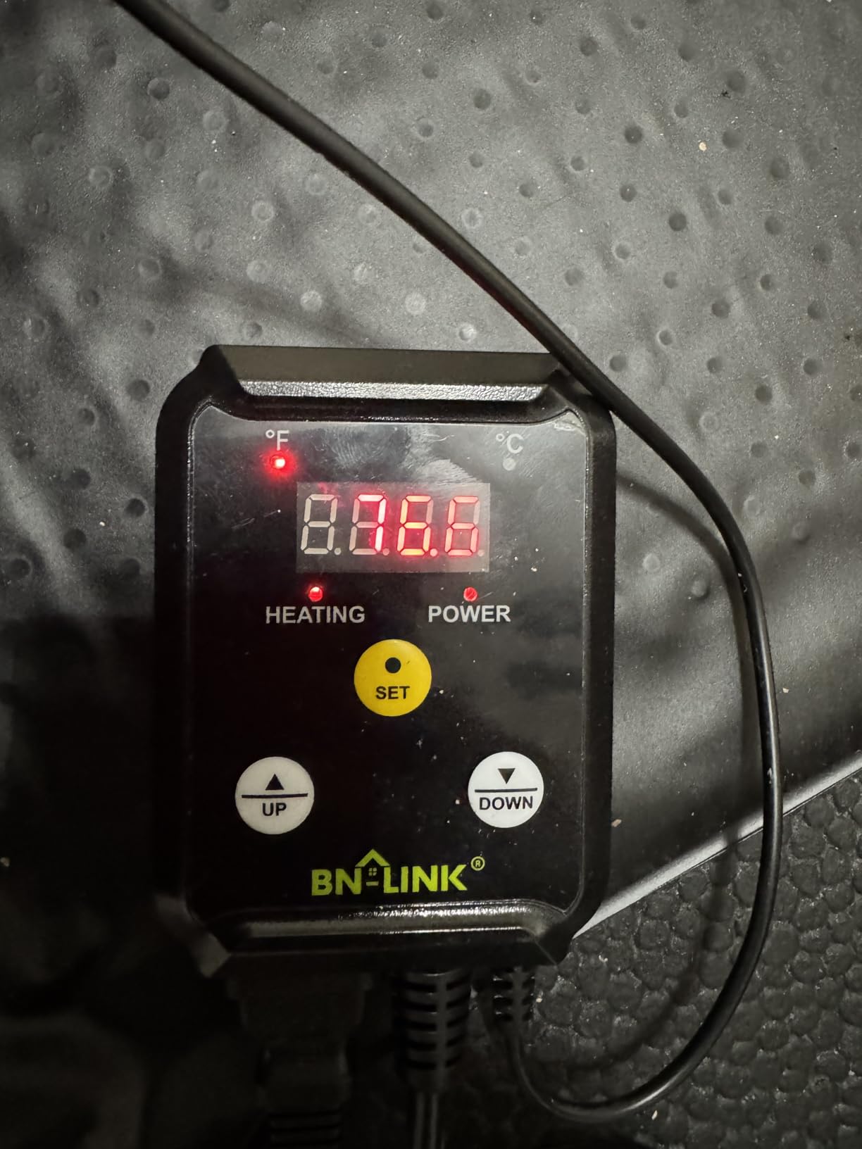 BN-LINK Reptile Thermostat Temperature Controller, Digital Heat Mat Thermostat for Seed Starting, Plant Germination, Greenhouse, Incubator, Brooder, Brewing, Reptiles Tank,40-108°F, 1000W, ETL Listed customer photo 2