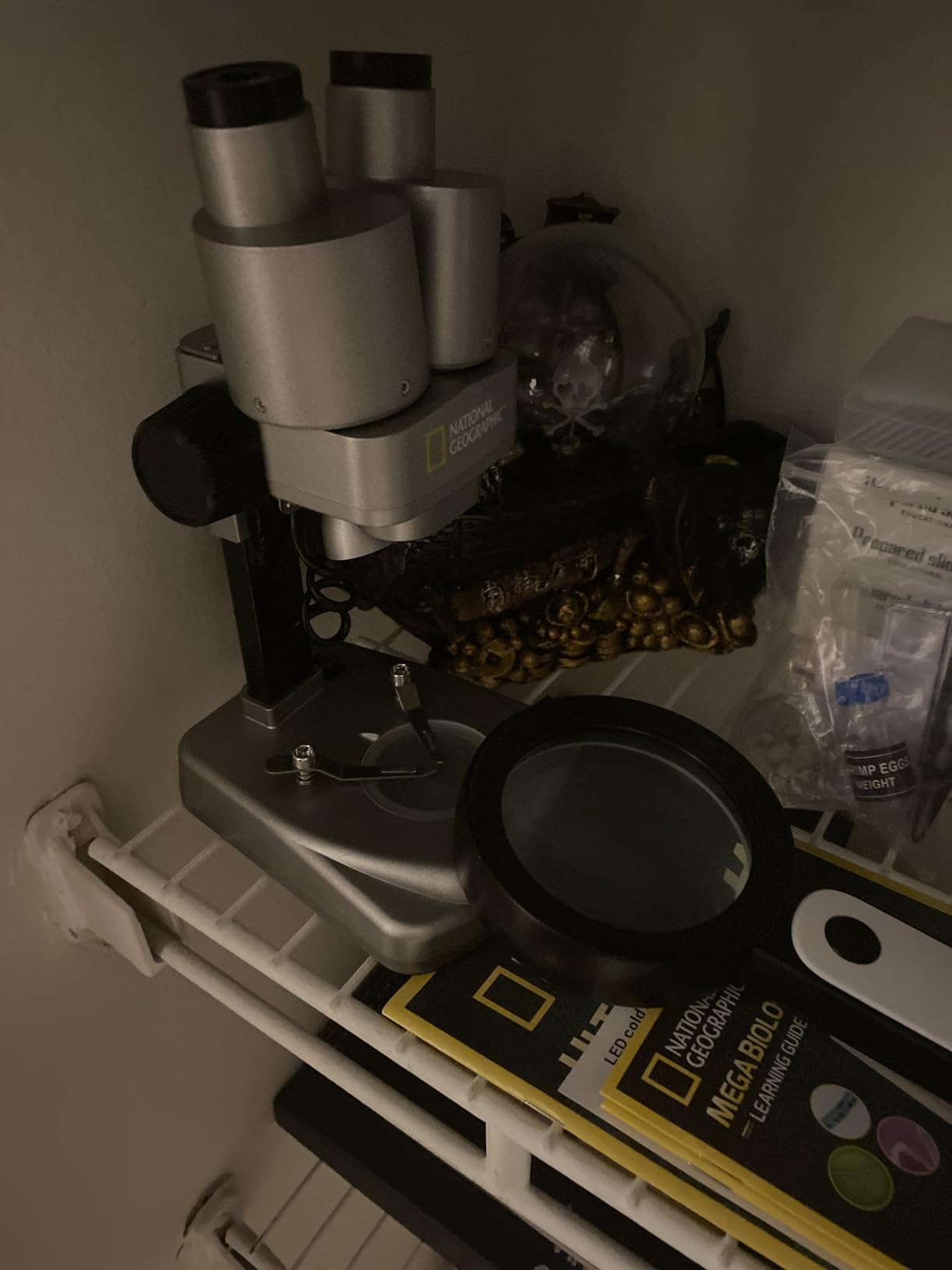 National Geographic Dual LED Kids Microscope - 50+ pc Science Kit with 10 Prepared Slides & 10 DIY Blank Slides, Biology Experiment Activity, Microscope Kit for Kids 8-12 (Amazon Exclusive) customer photo 1