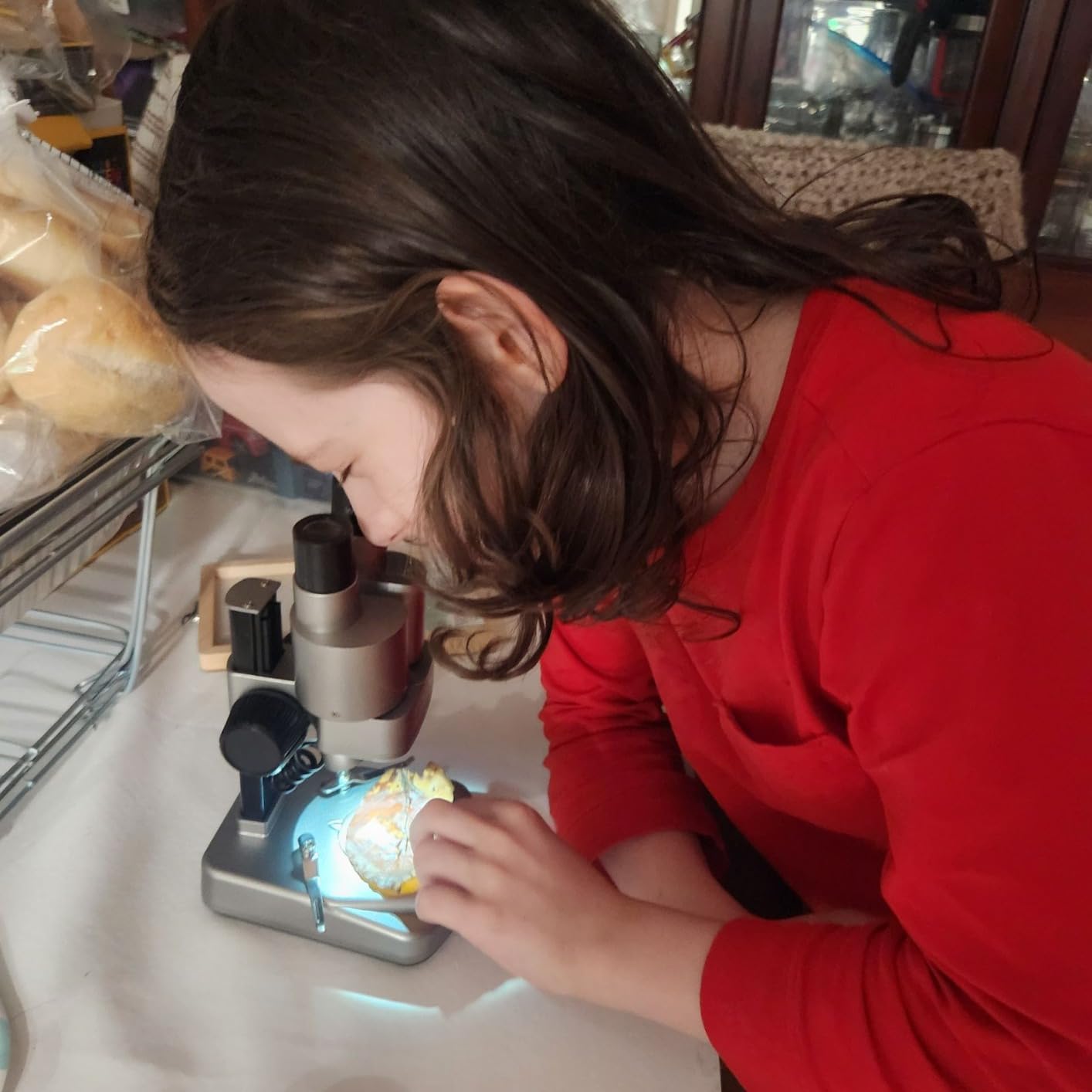 National Geographic Dual LED Kids Microscope - 50+ pc Science Kit with 10 Prepared Slides & 10 DIY Blank Slides, Biology Experiment Activity, Microscope Kit for Kids 8-12 (Amazon Exclusive) customer photo 2