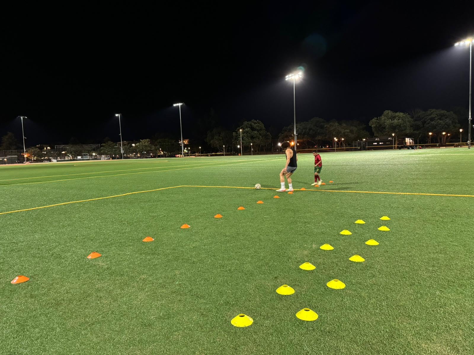 Pro Disc Cones (Set of 50) - Agility Soccer Cones with Carry Bag and Holder for Sports Training, Football, Basketball, Coaching, Practice Equipment, Kids - Includes 15 Best Cone Drills Book customer photo 2