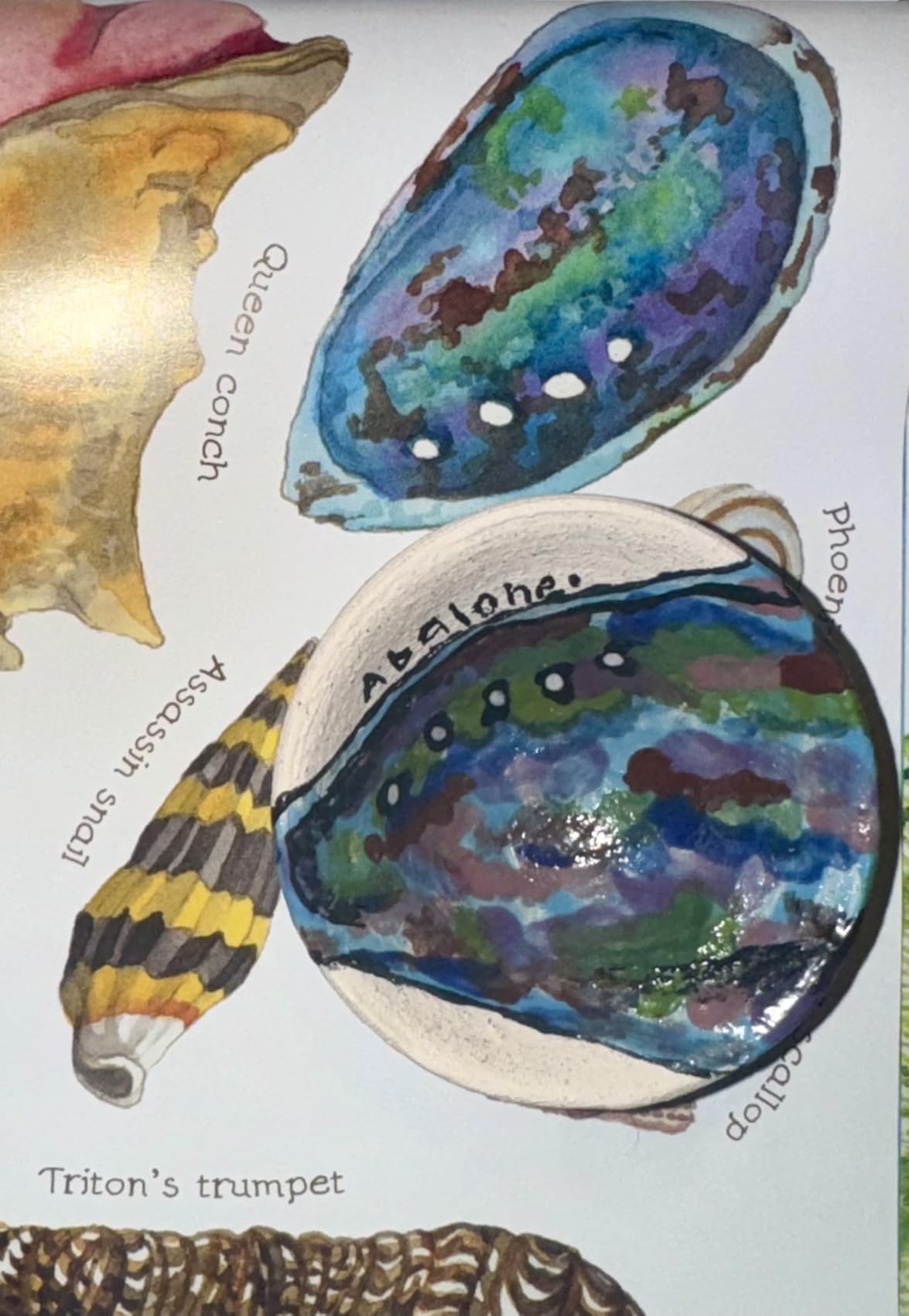 RapidFire Pro-LP Electric Kiln Furnace-2200F 10 Min Melt Gold - Programmable Controller customer photo 1