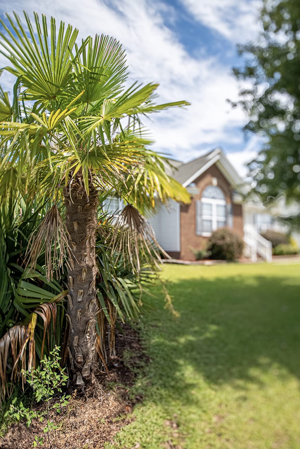 PC NIKKOR 19mm f/4E ED Tilt-Shift Lens customer photo 1