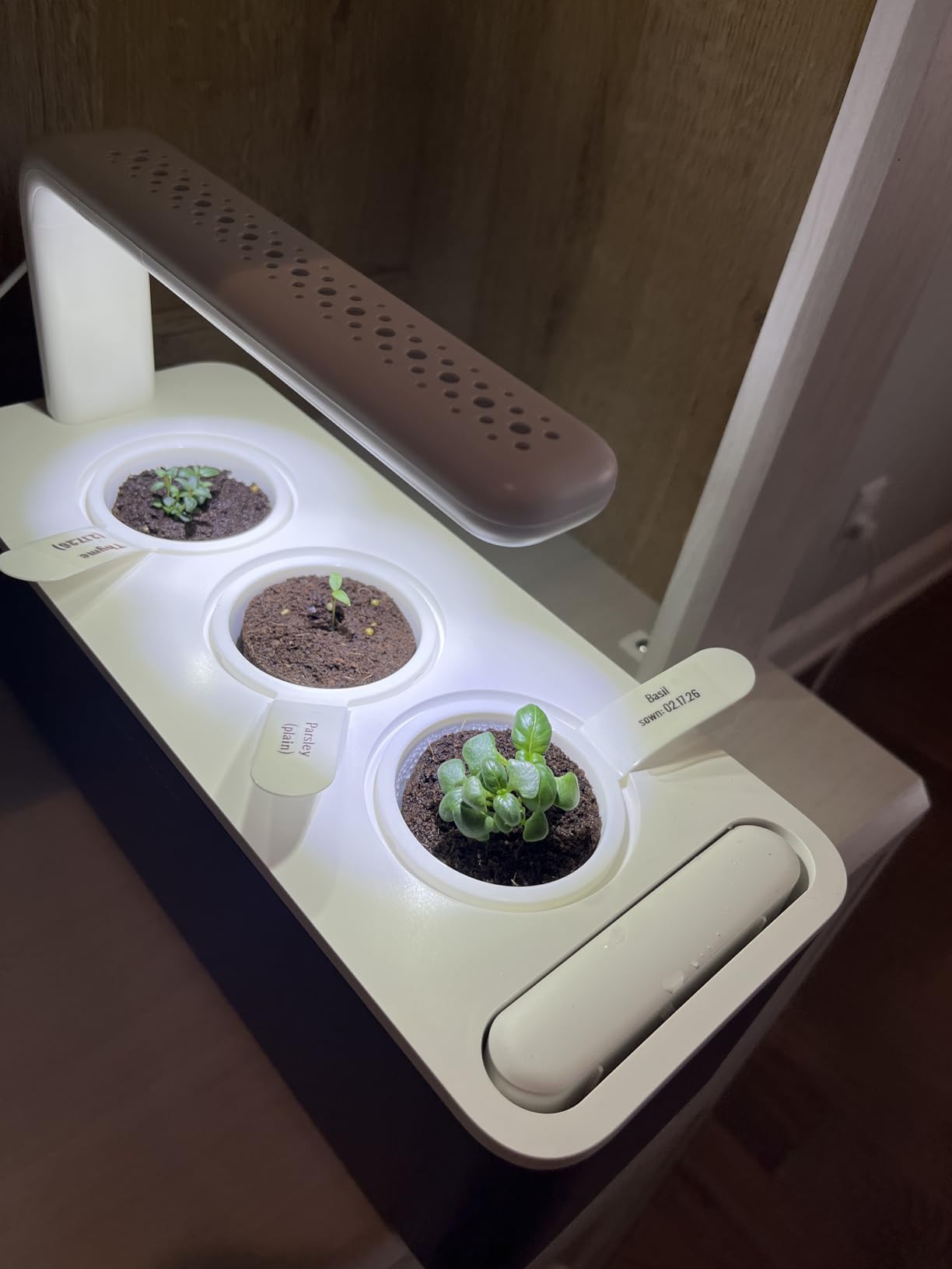 Click & Grow Indoor Herb Garden Kit with Grow Light | Smart Garden for Home Kitchen Windowsill | Easier Than Hydroponics Growing System | Vegetable Gardening Starter (3 Basil Pods Included), White customer photo 1