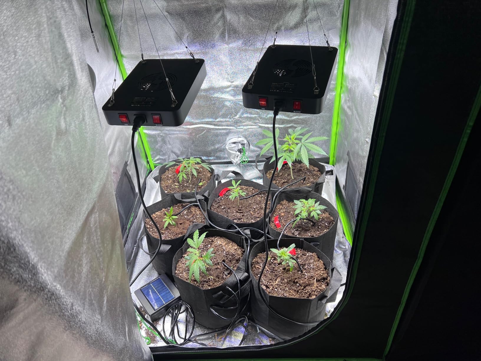 BESTVA DC2000 LED Grow Light, Full Spectrum Grow Lights for Indoor Plants with Veg & Bloom Switches, Quiet Cooling Fan, for Seedling Veg Bloom All Growth Stages customer photo 2