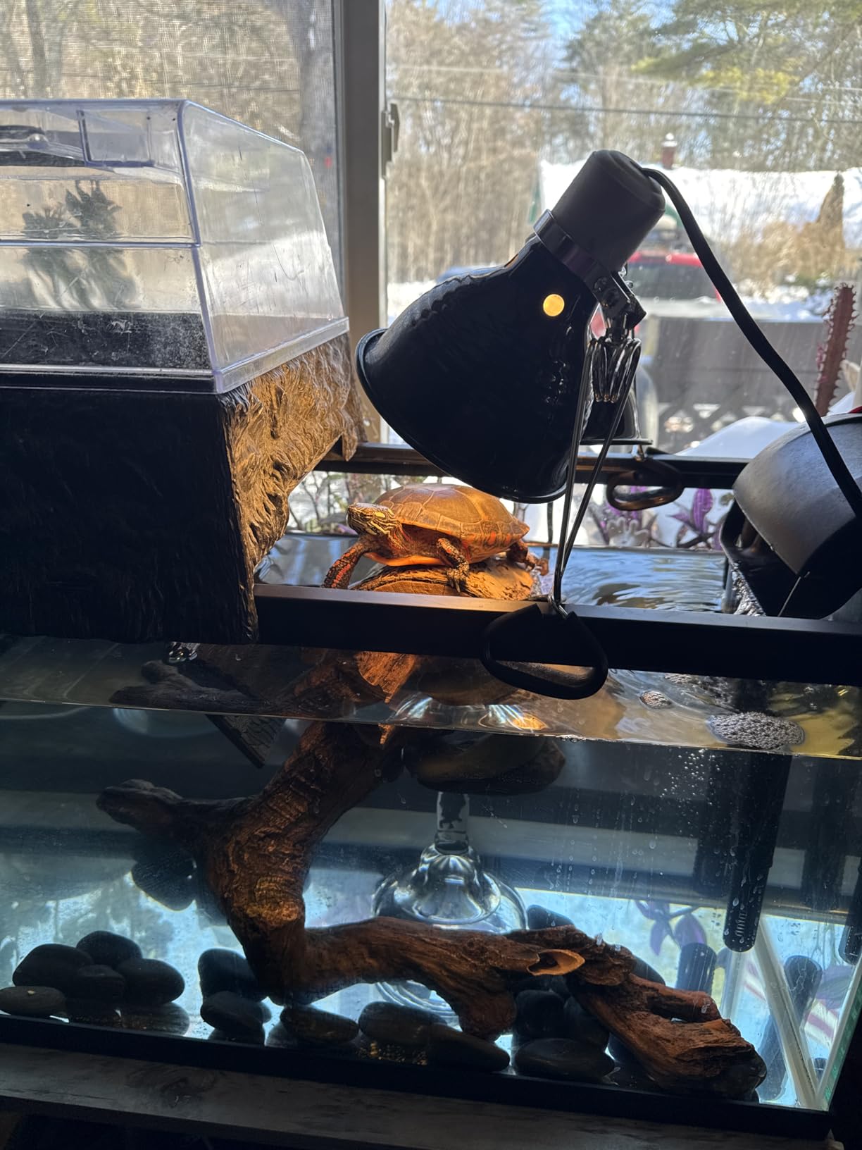 Tetra Whisper IQ Power Filter 45 Gallons, 215 GPH, With Stay Clean Technology customer photo 1