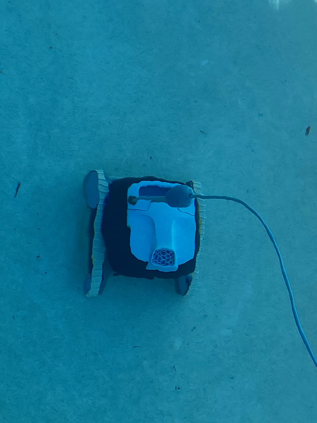 Dolphin Nautilus CC Automatic Robotic Pool Vacuum Cleaner, Wall Climbing Scrubber Brush, Top Load Filter Access, Ideal for Above/In-Ground Pools up to 33 FT in Length customer photo 2