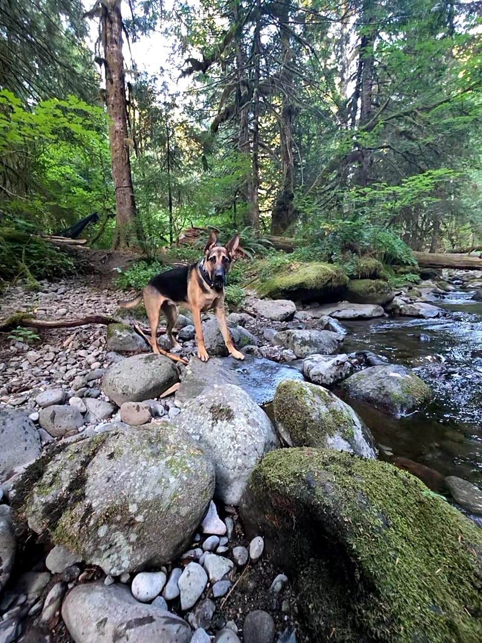 MSR TrailShot Ultralight Backpacking and Camping Squeeze Water Filter customer photo 1