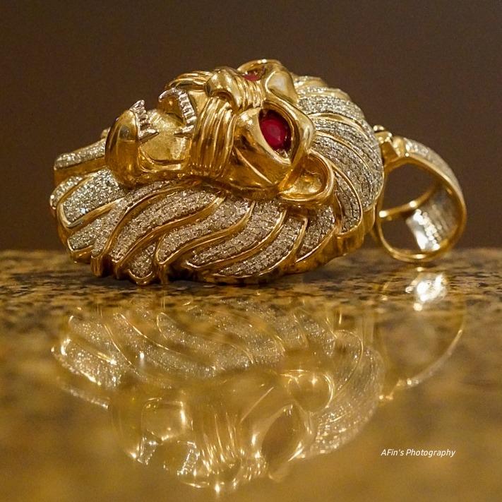 SEL100F28GM 100mm f2.8 Medium-telephoto Fixed Prime Camera Lens, Black customer photo 1