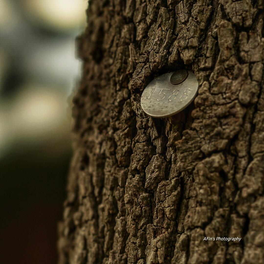 SEL100F28GM 100mm f2.8 Medium-telephoto Fixed Prime Camera Lens, Black customer photo 2