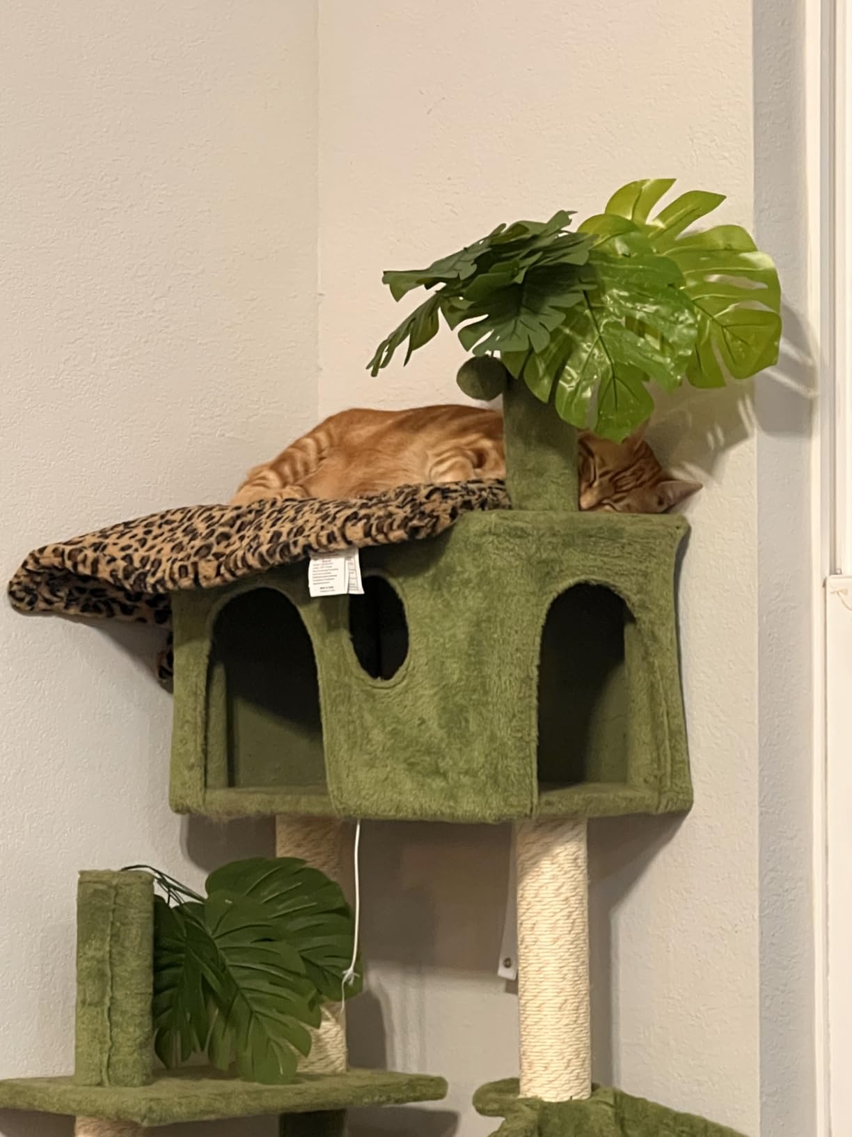 FurHaven ThermaNAP Self Warming Cat Mat, Dog Bed for Crates with Self-Warming Technology for Cozy Rest, Fully Machine Washable, Small, Plush Faux Fur, Gray customer photo 1