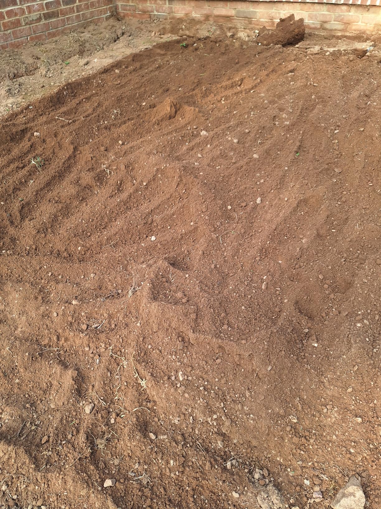 Earthwise TC70025 7.5-Inch 2.5-Amp Corded Electric Tiller/Cultivator, 7.5-Inch, 2.5-Amp Corded, Grey customer photo 1